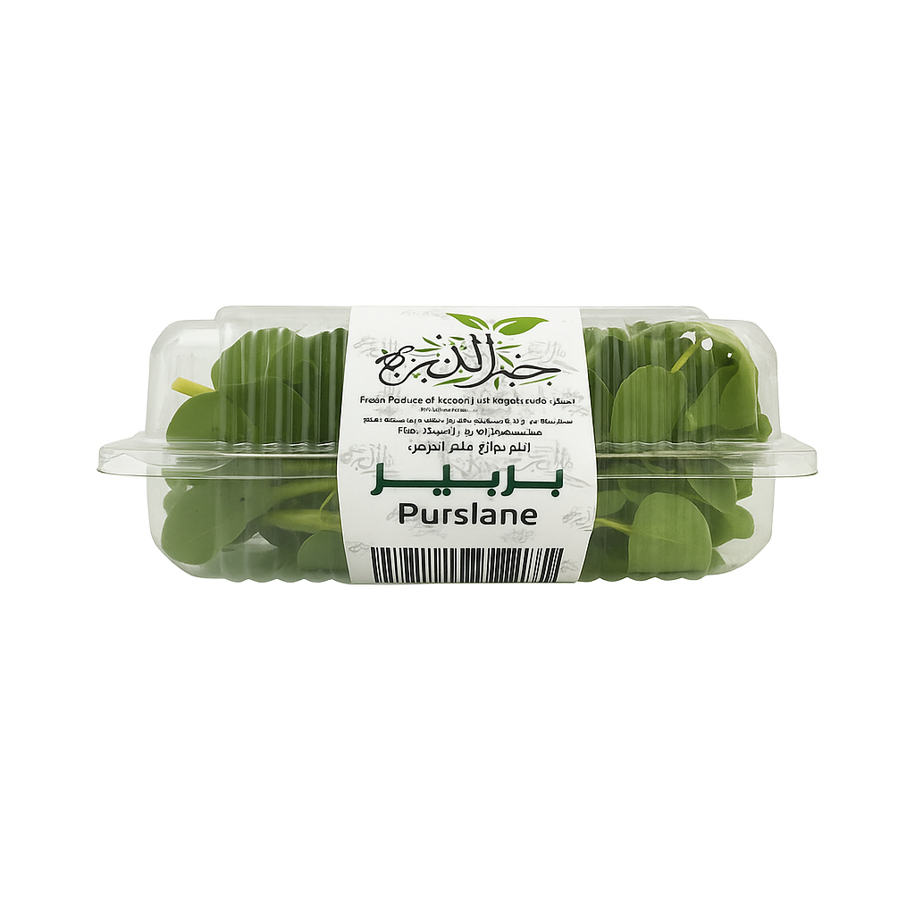 بربير علبة طازج